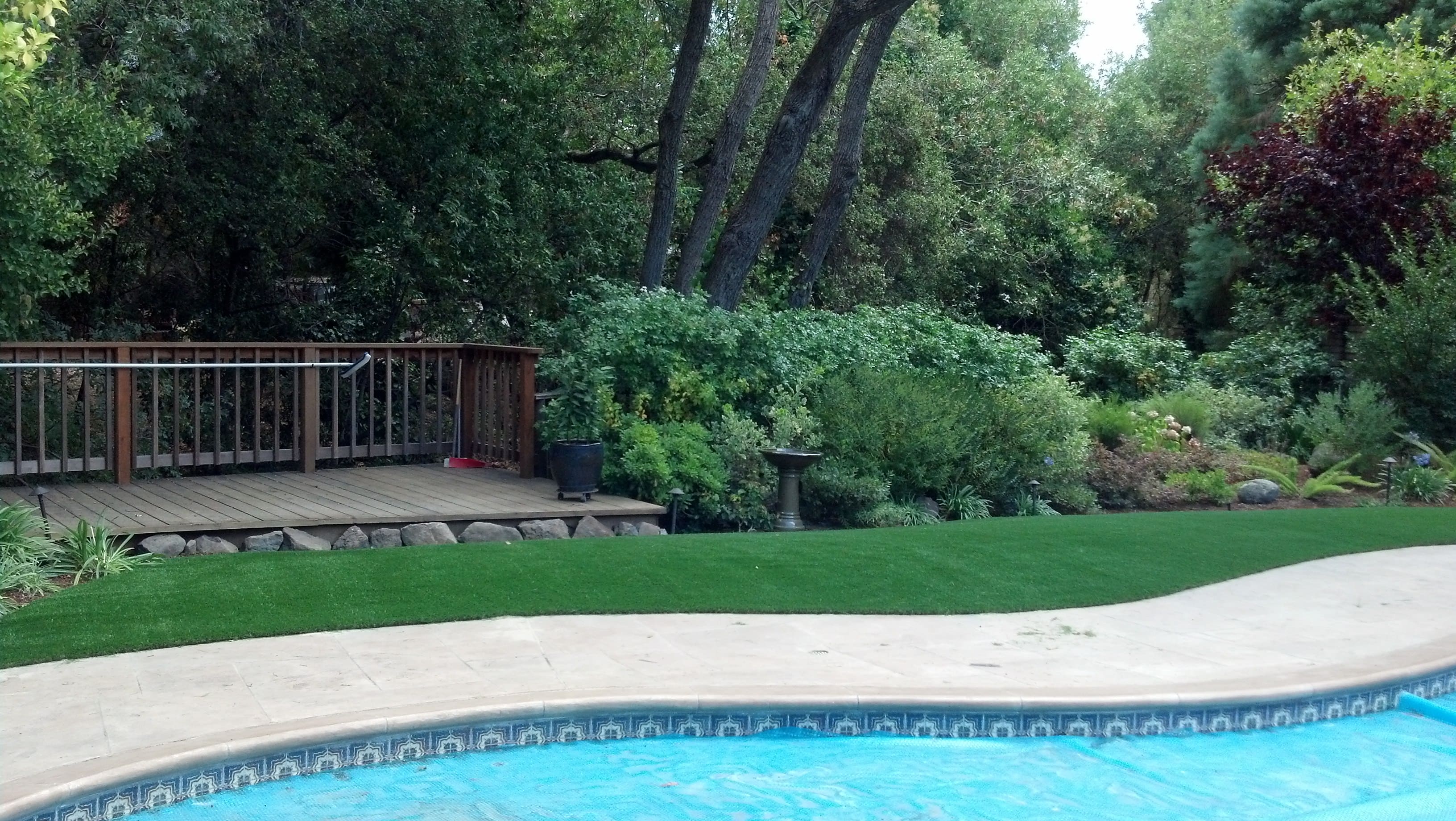 Synthetic turf lawn surrounding a swimming pool with natural stone coping and professional landscaping - Paradise Building Materials project