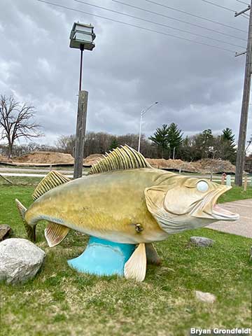 Dells Wildlife Museum & Aquarium — Wisconsin Dells in Wisconsin Dells, WI