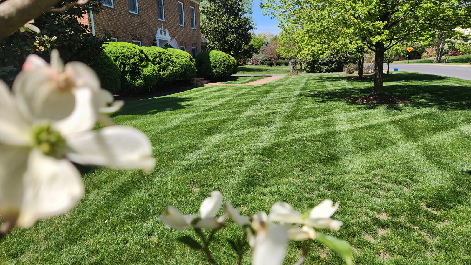 Lawn Mowing & Turf Care