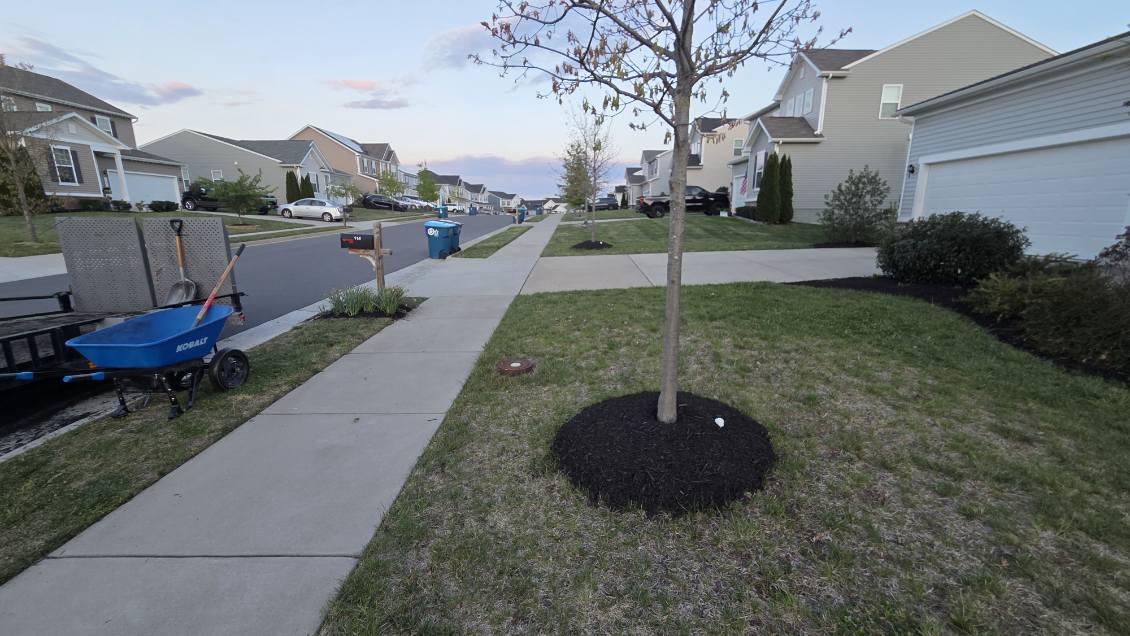 Tree Ring Mulching & Sidewalk Edging - Lawn Man LLC Winchester VA