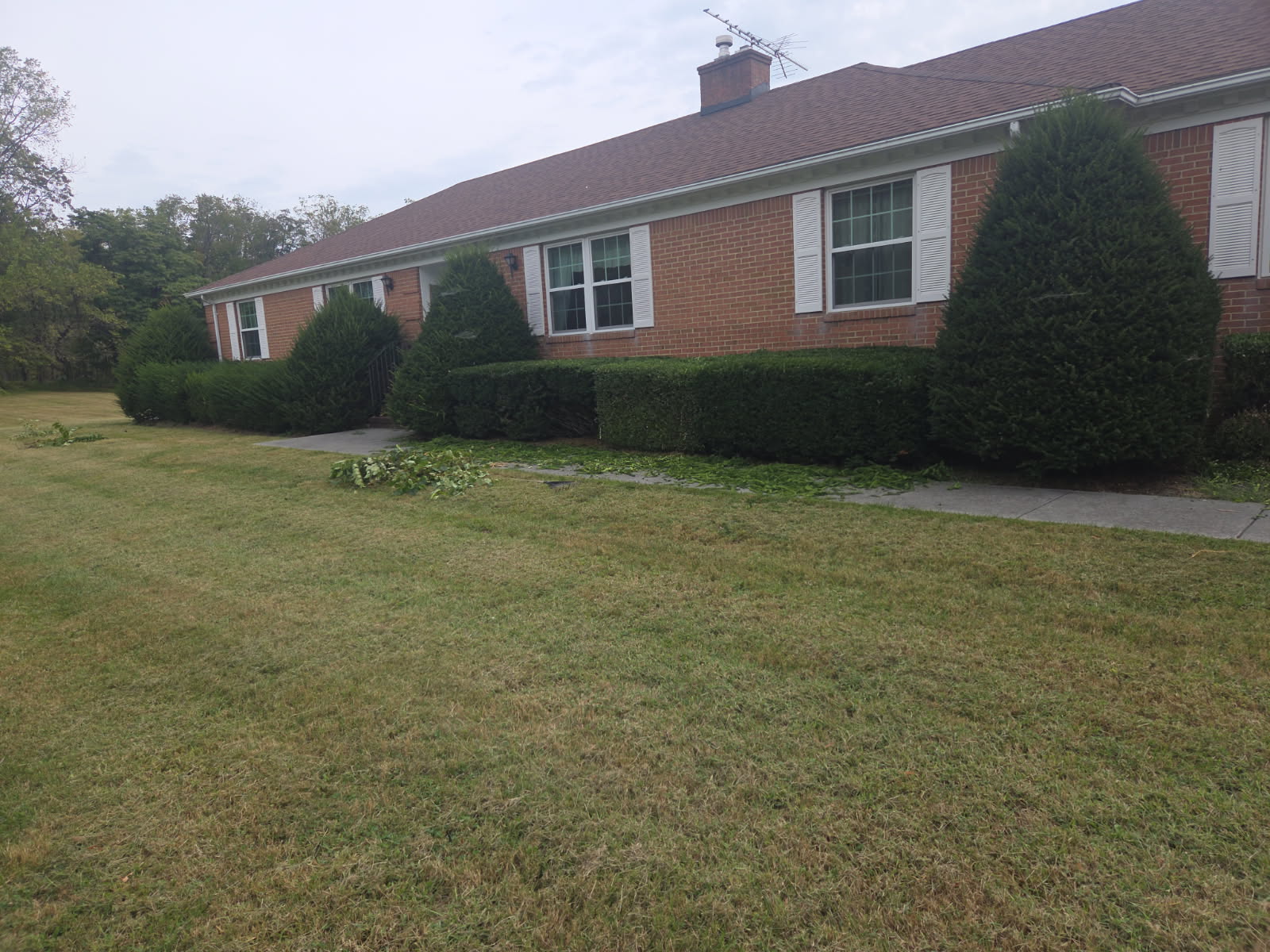 Hedge Trimming & Shaping - Lawn Man LLC Winchester VA