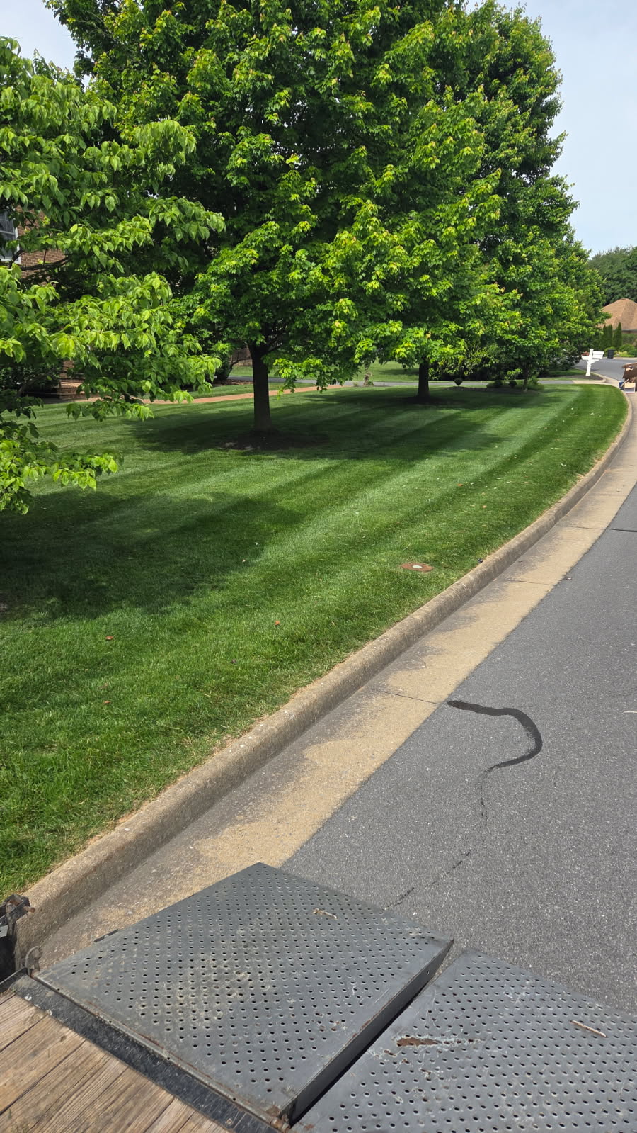 Curb-Adjacent Striped Showpiece - Lawn Man LLC Winchester VA