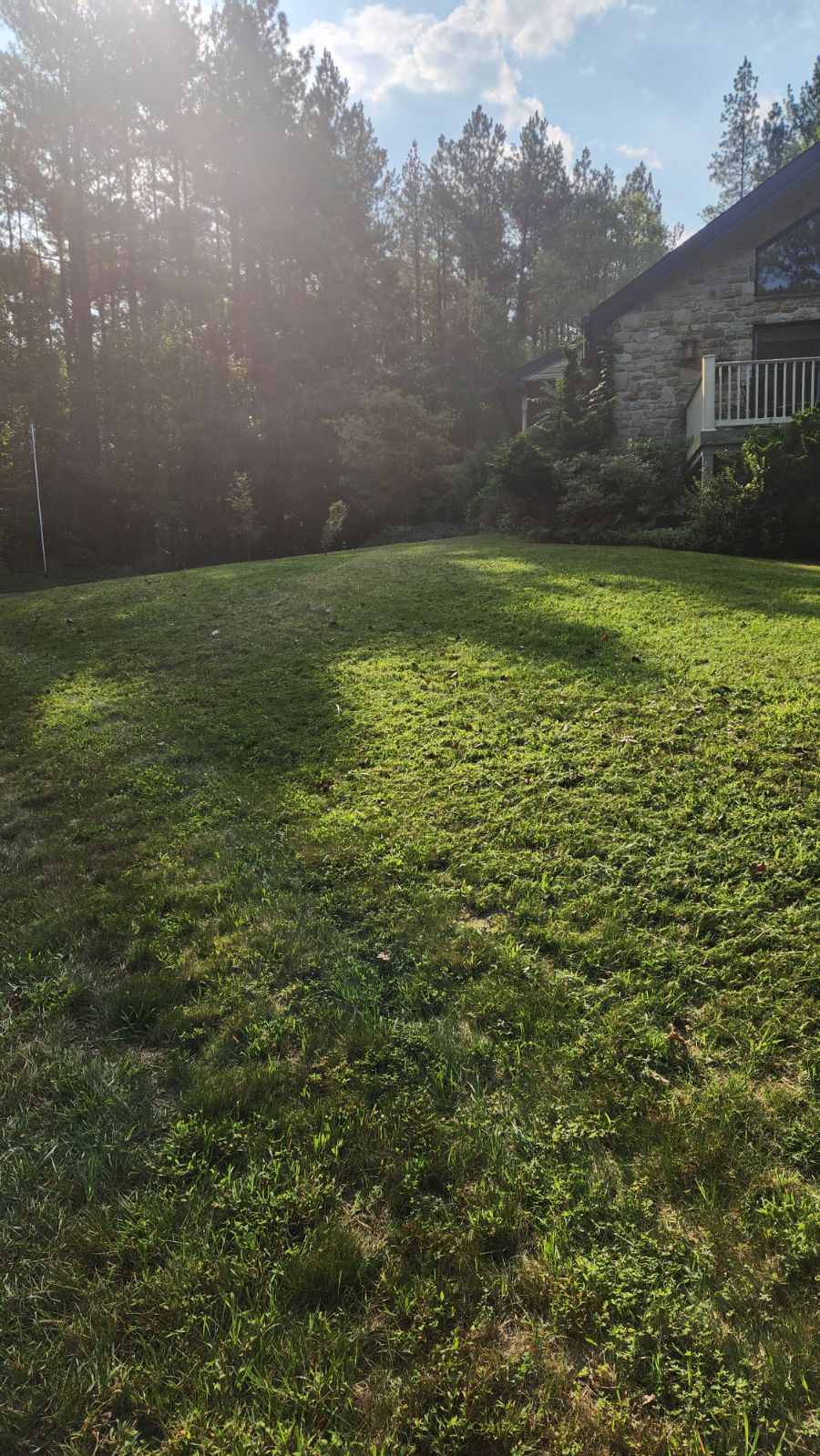 Sun-Dappled Sloped Lawn - Lawn Man LLC Winchester VA