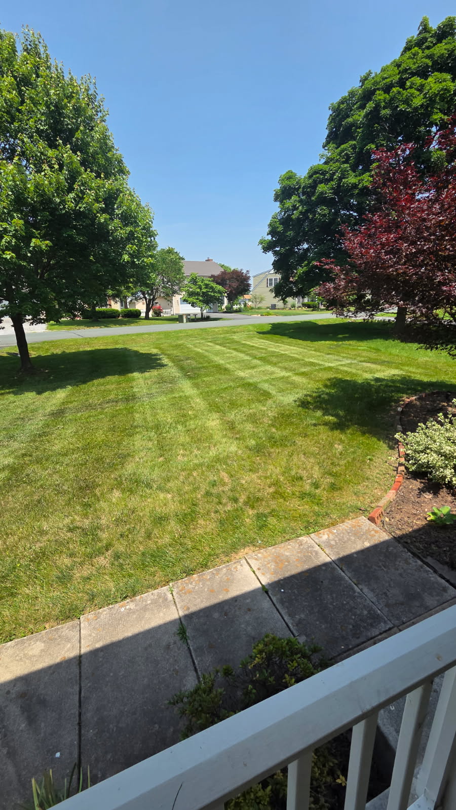 Deck View Striped Lawn - Lawn Man LLC Winchester VA