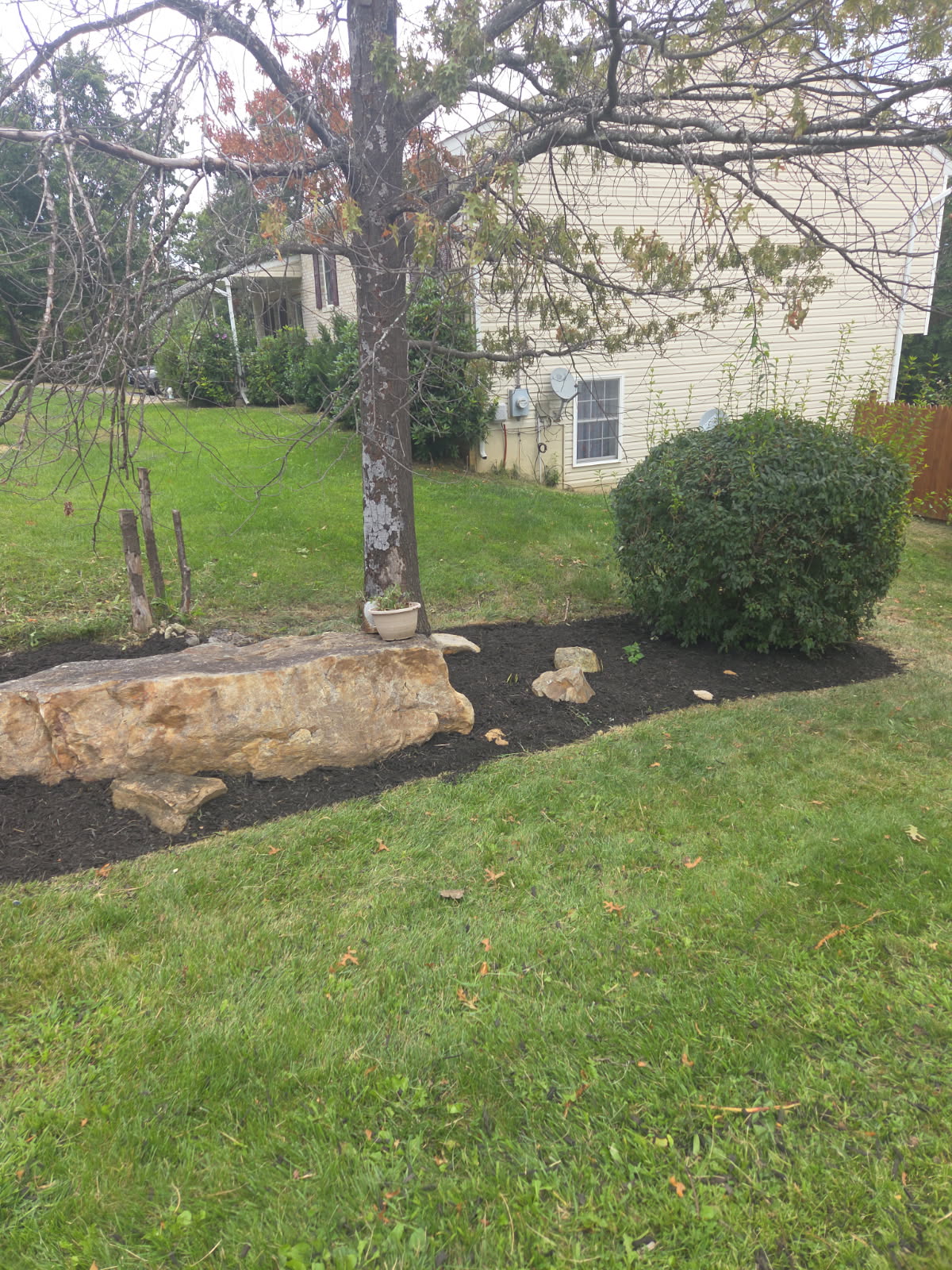 Shrub Trimming & Removal