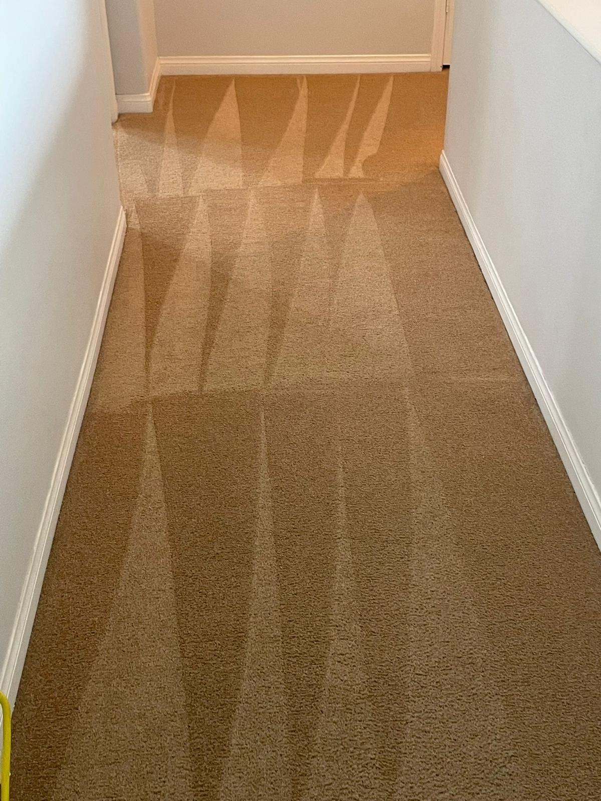 Sabrina and J Housekeeping — Deep Carpet Steam Cleaning