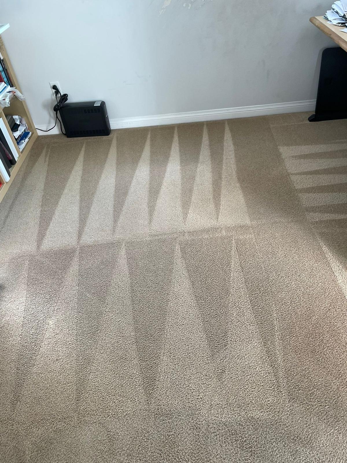 Sabrina and J Housekeeping — Professional Carpet Cleaning Results