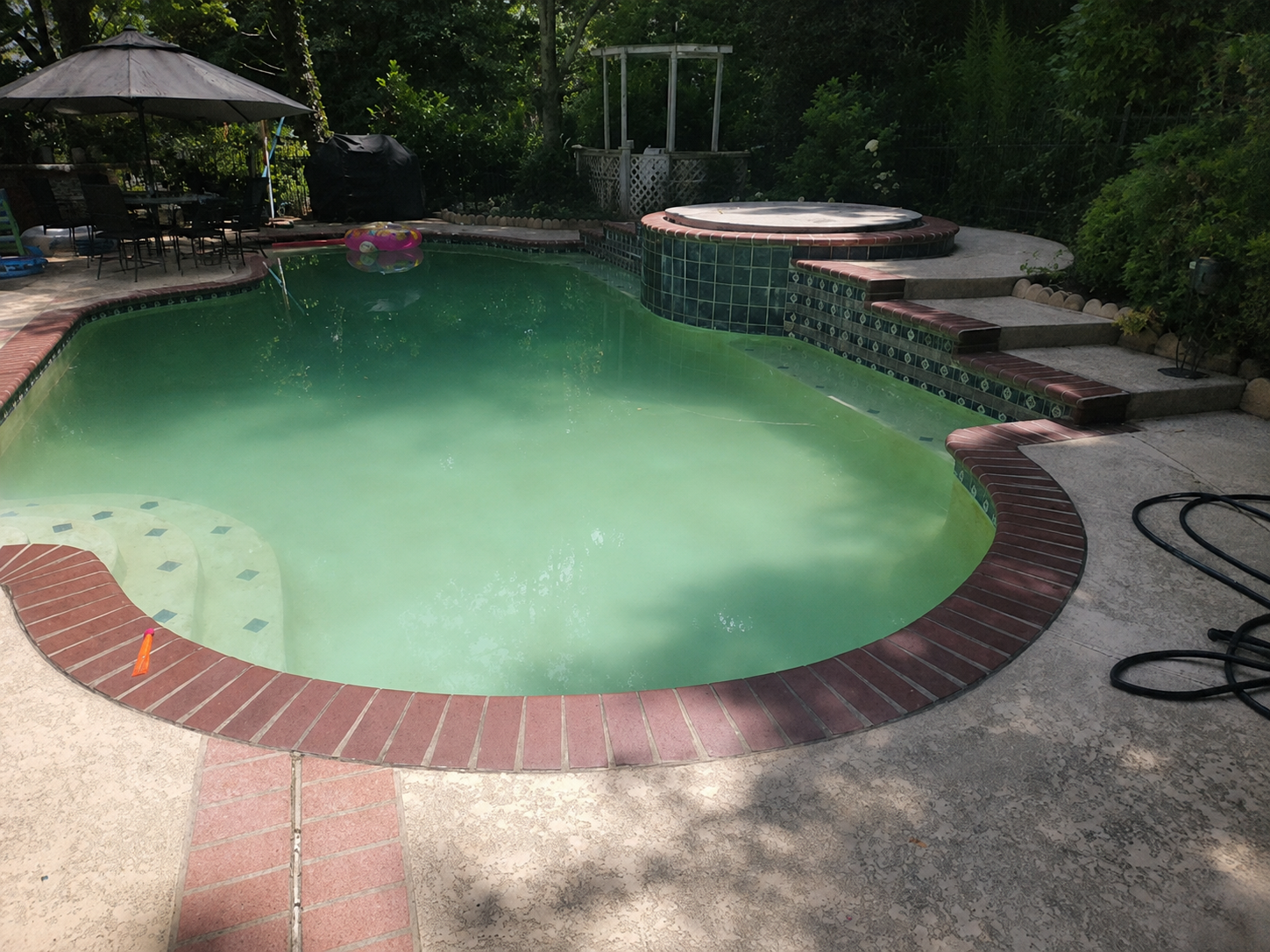 GREEN POOL