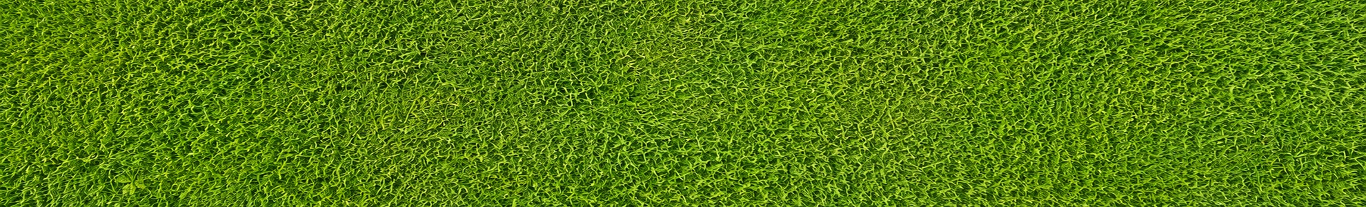 Lawn after mowing — professionally cut grass