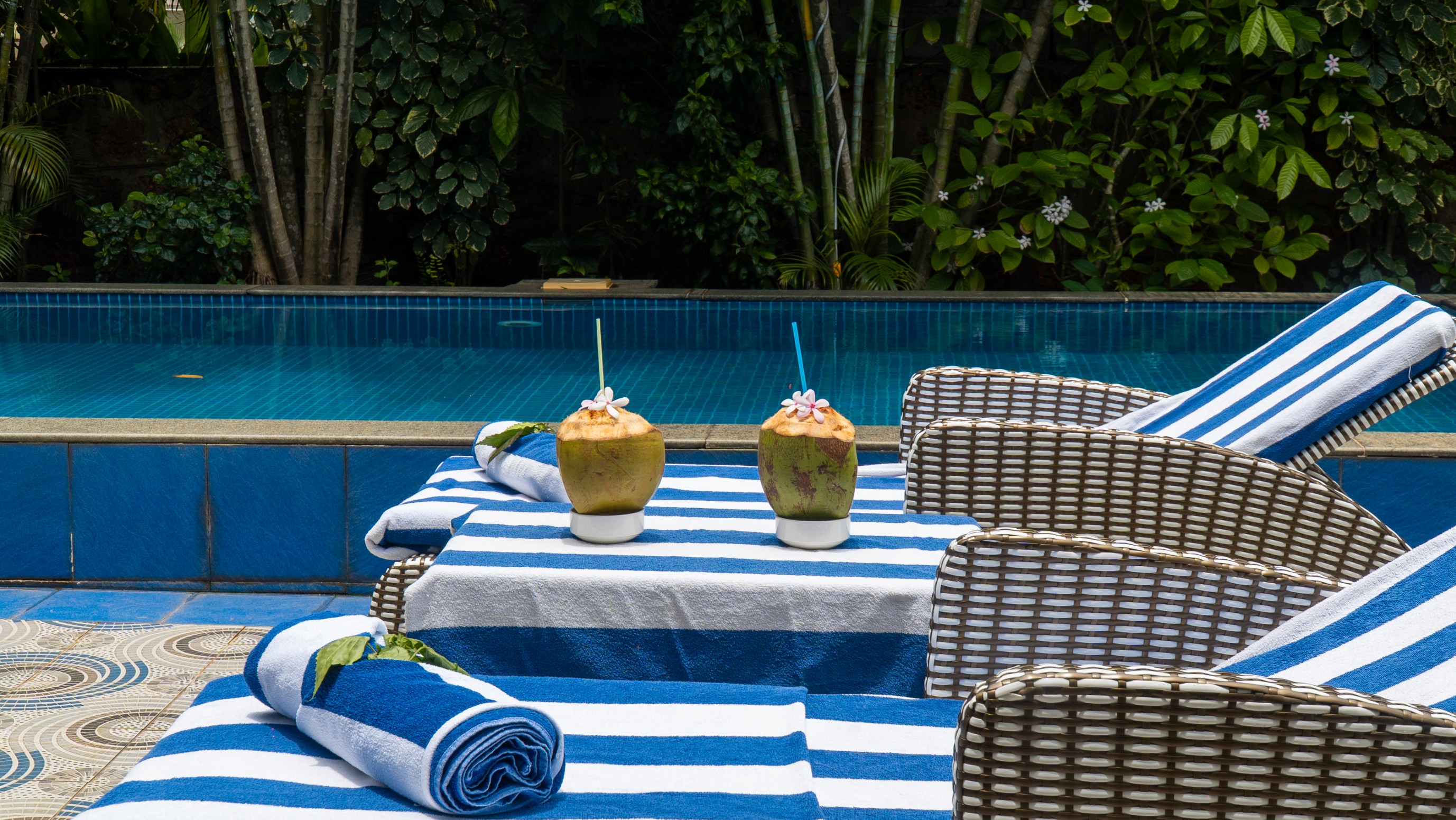 Poolside lounge chairs with fresh coconuts at a Cardinal Stays villa