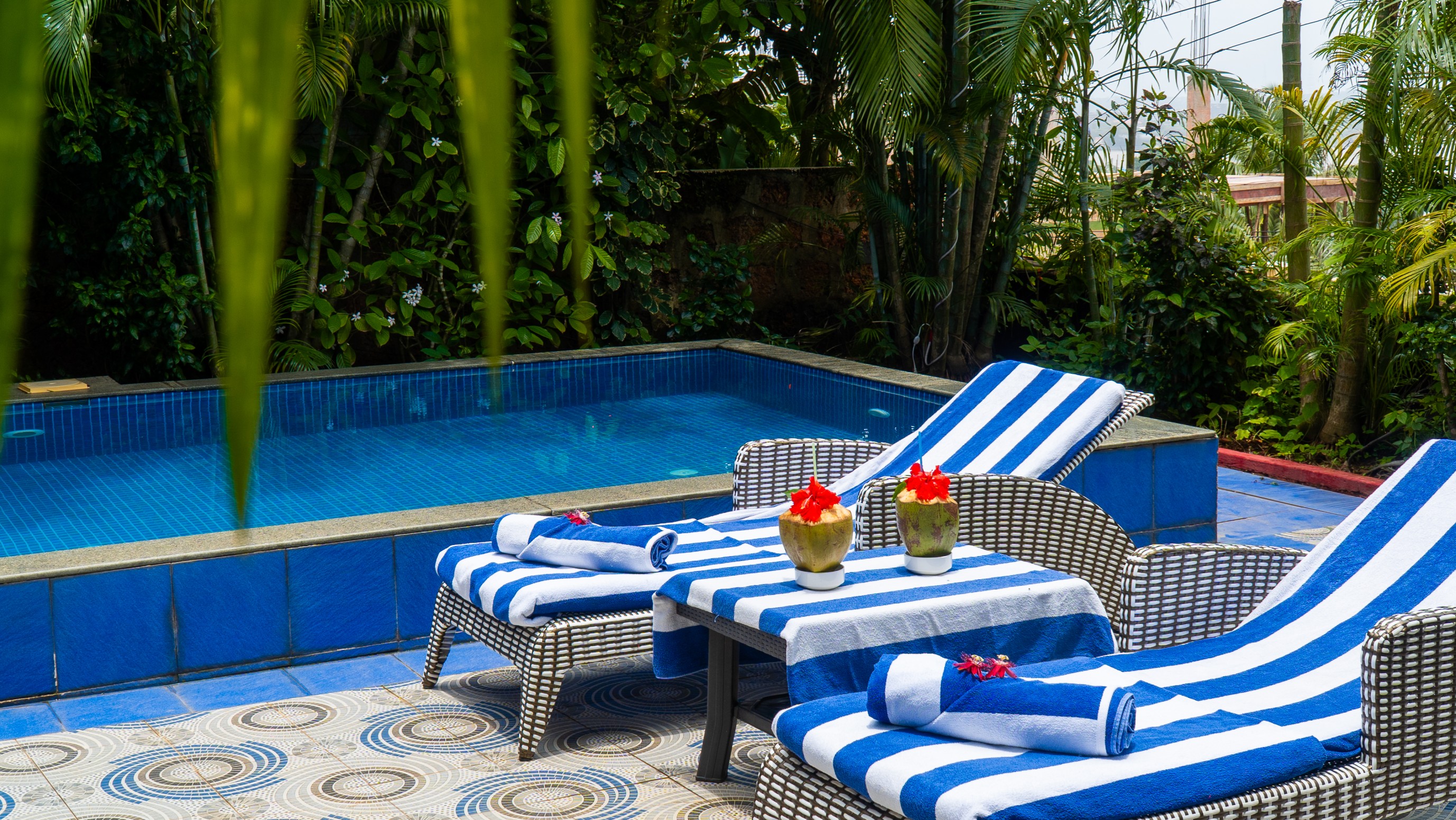 Private pool with lounge chairs surrounded by tropical greenery