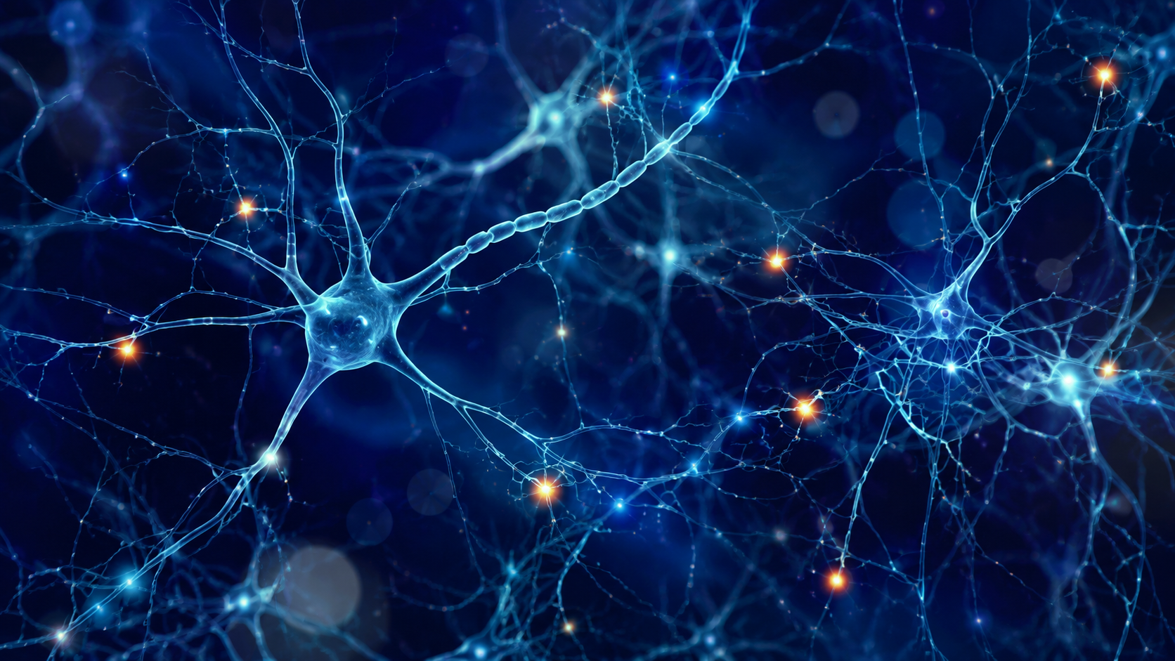 ¿Qué es el neuroestrabismo? El cerebro, la visión binocular y un enfoque de investigación