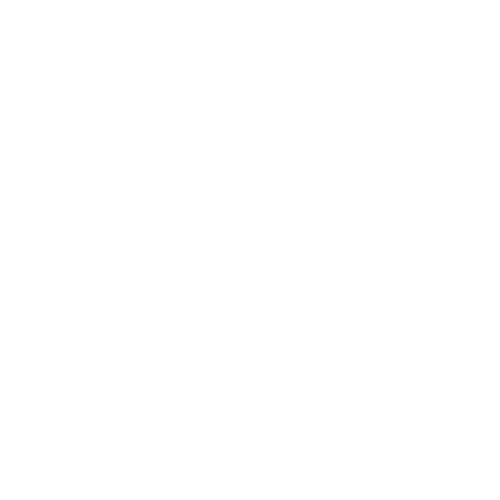 The Neighbor List