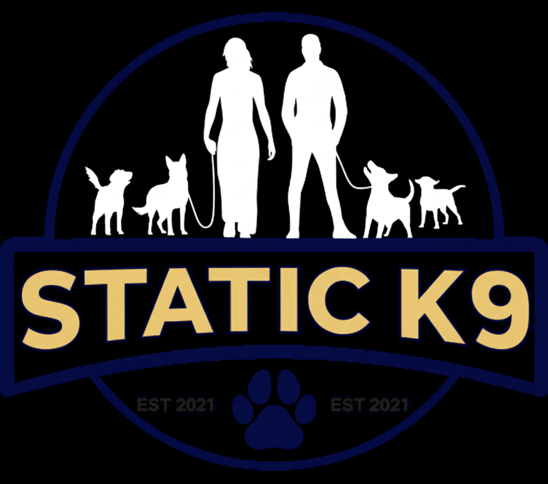 STATICK9 original brand logo