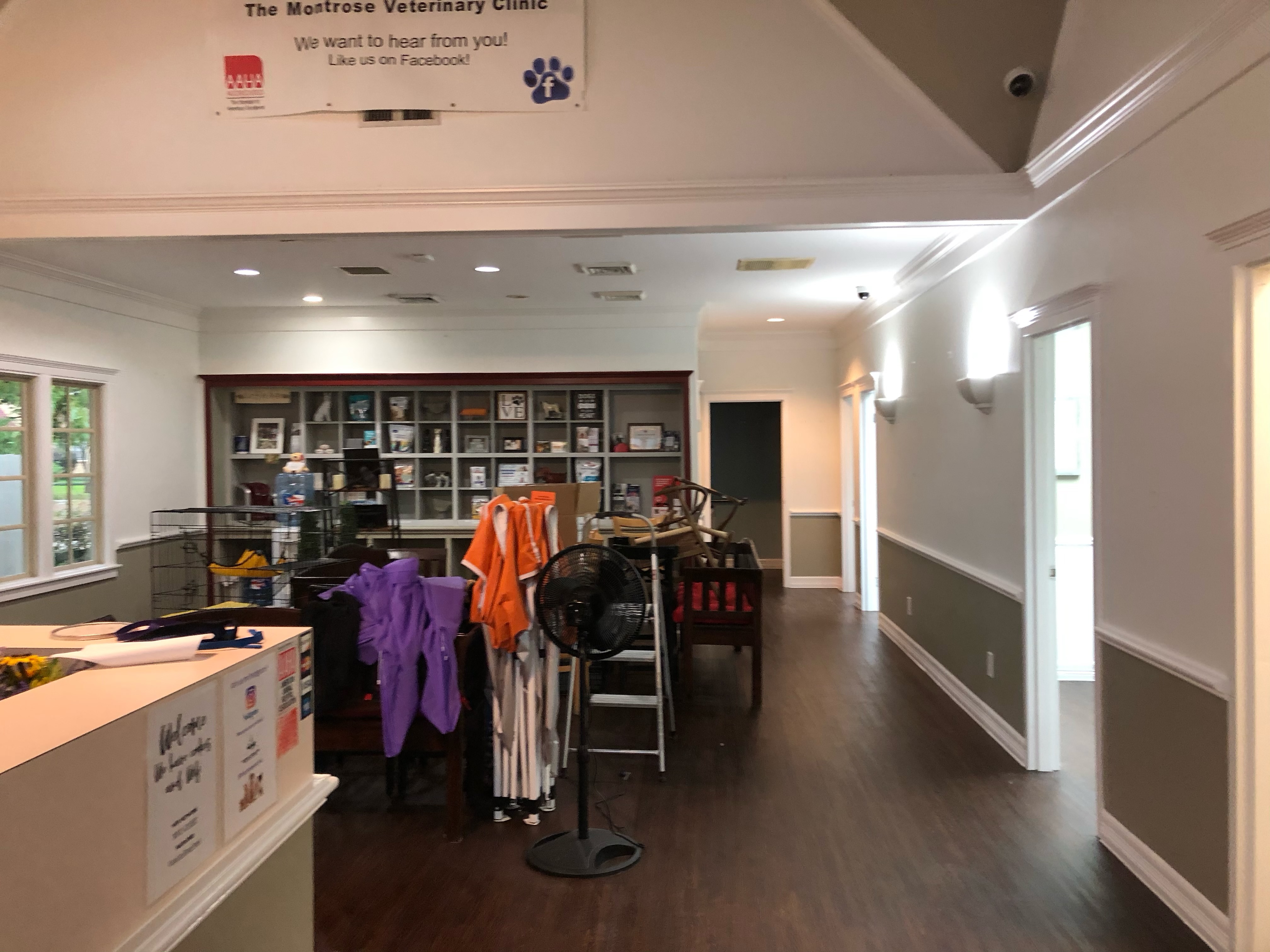 Commercial interior painting at Montrose Veterinary Clinic, Houston, TX — photo 2 of 5