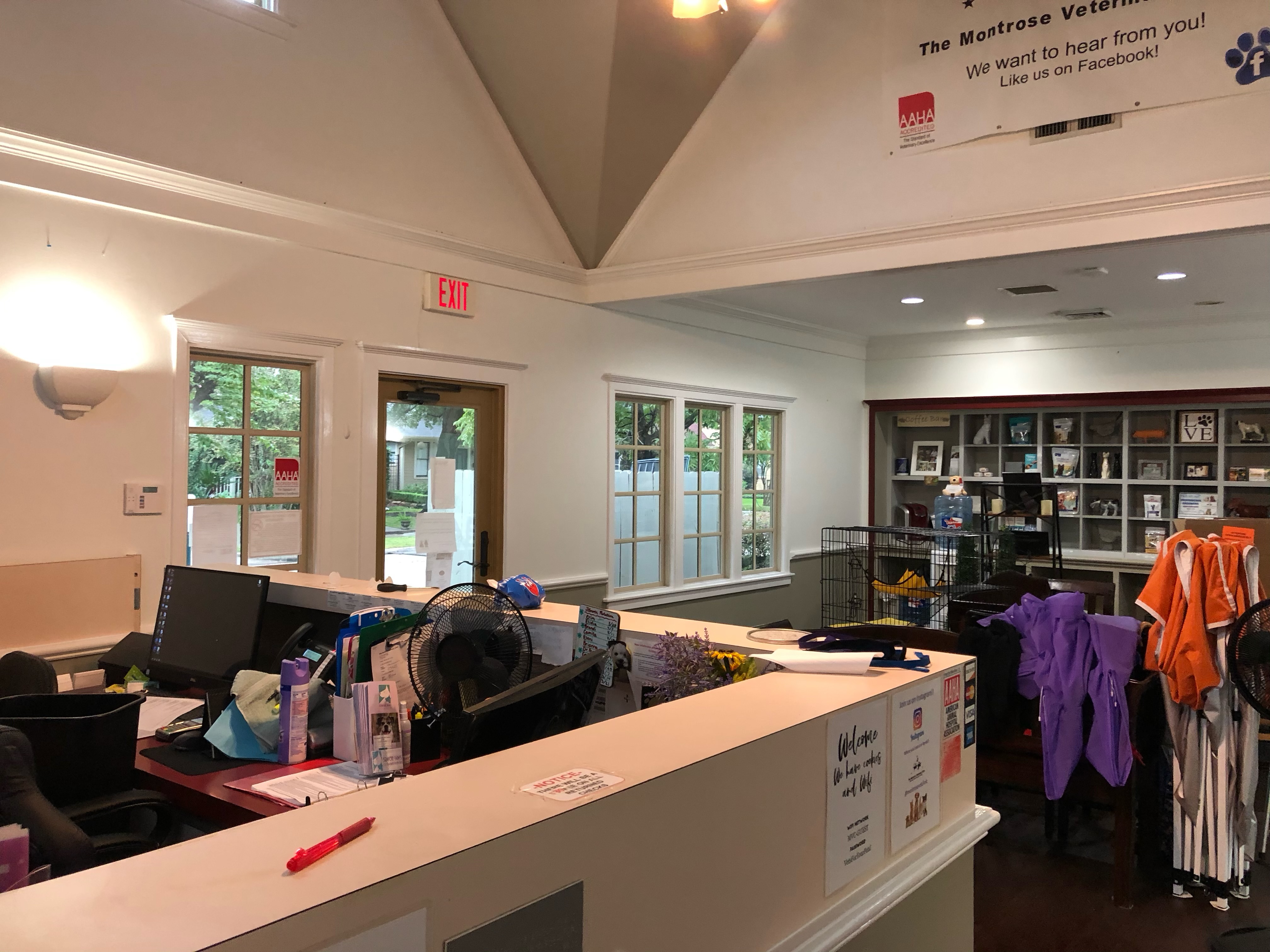 Commercial interior painting at Montrose Veterinary Clinic, Houston, TX — photo 3 of 5