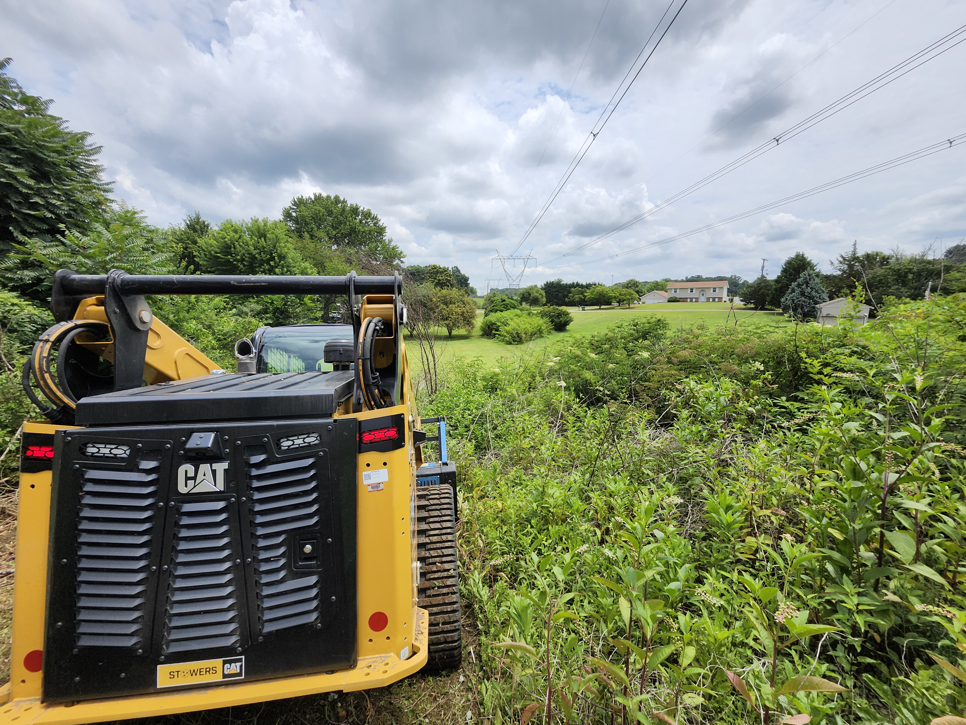 CAT 275 track loader selectively mulching brush along tree line while preserving mature hardwood trees