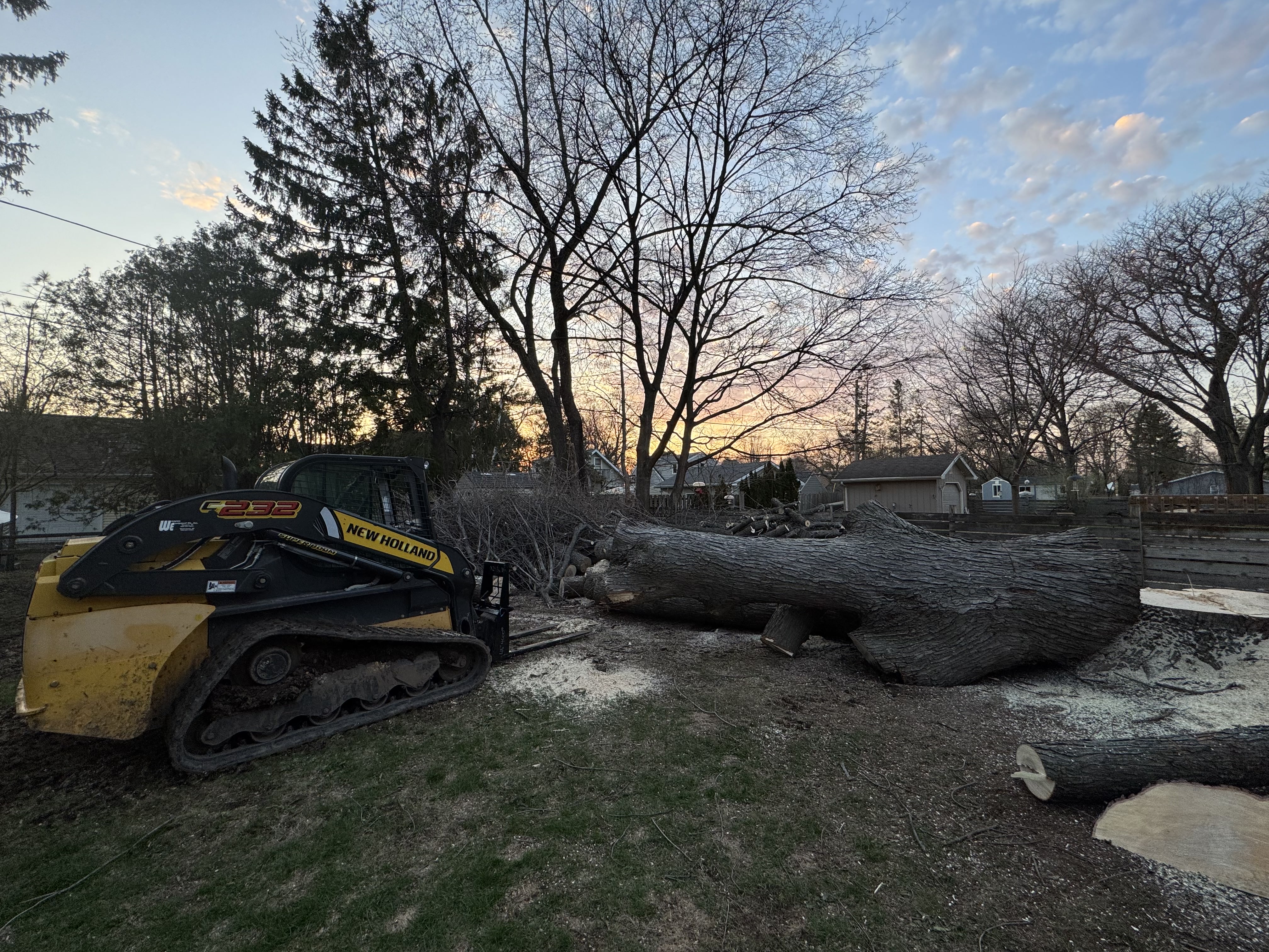 Tree Removal