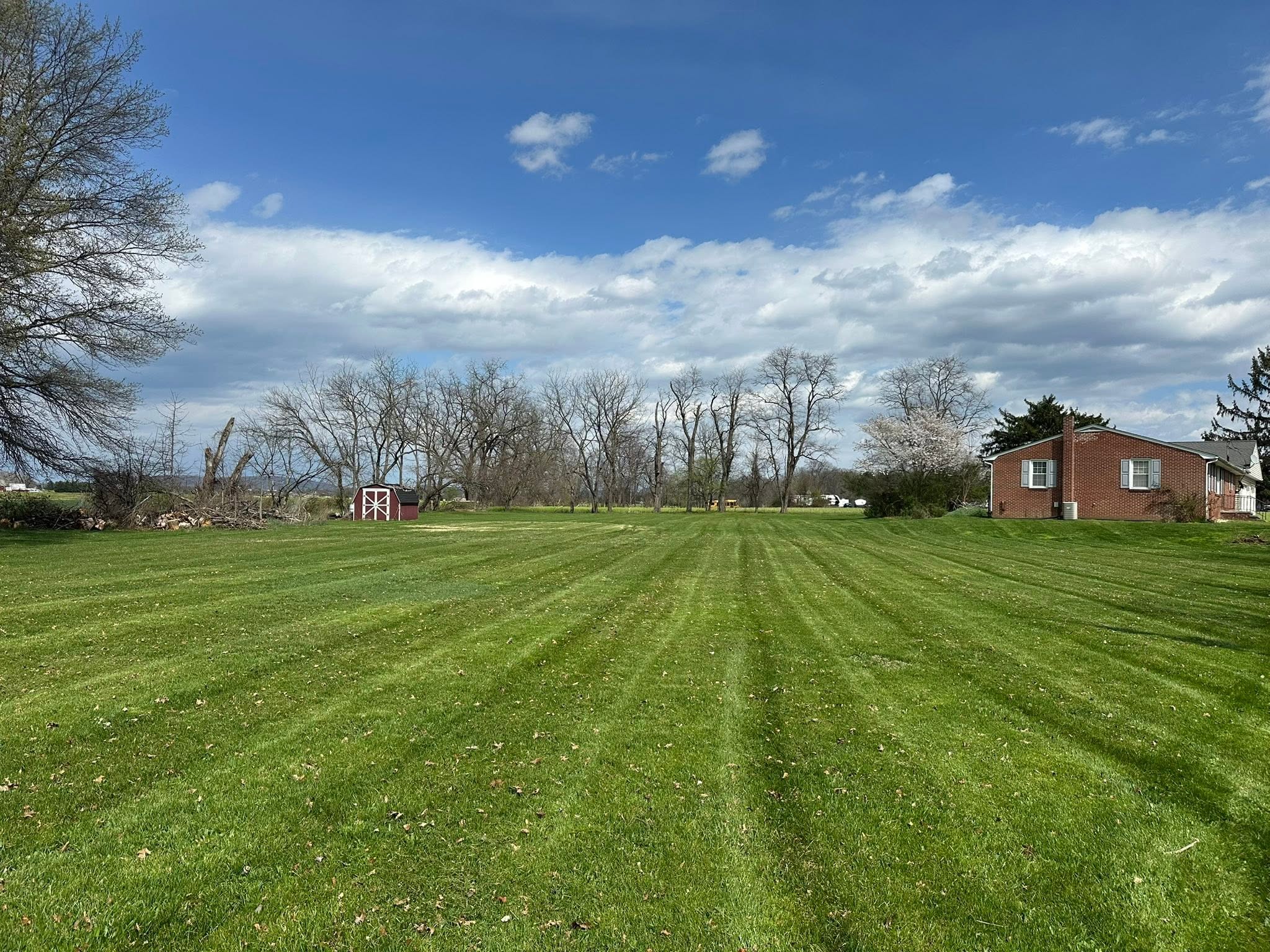 Expert lawn care maintenance with clean mowing lines