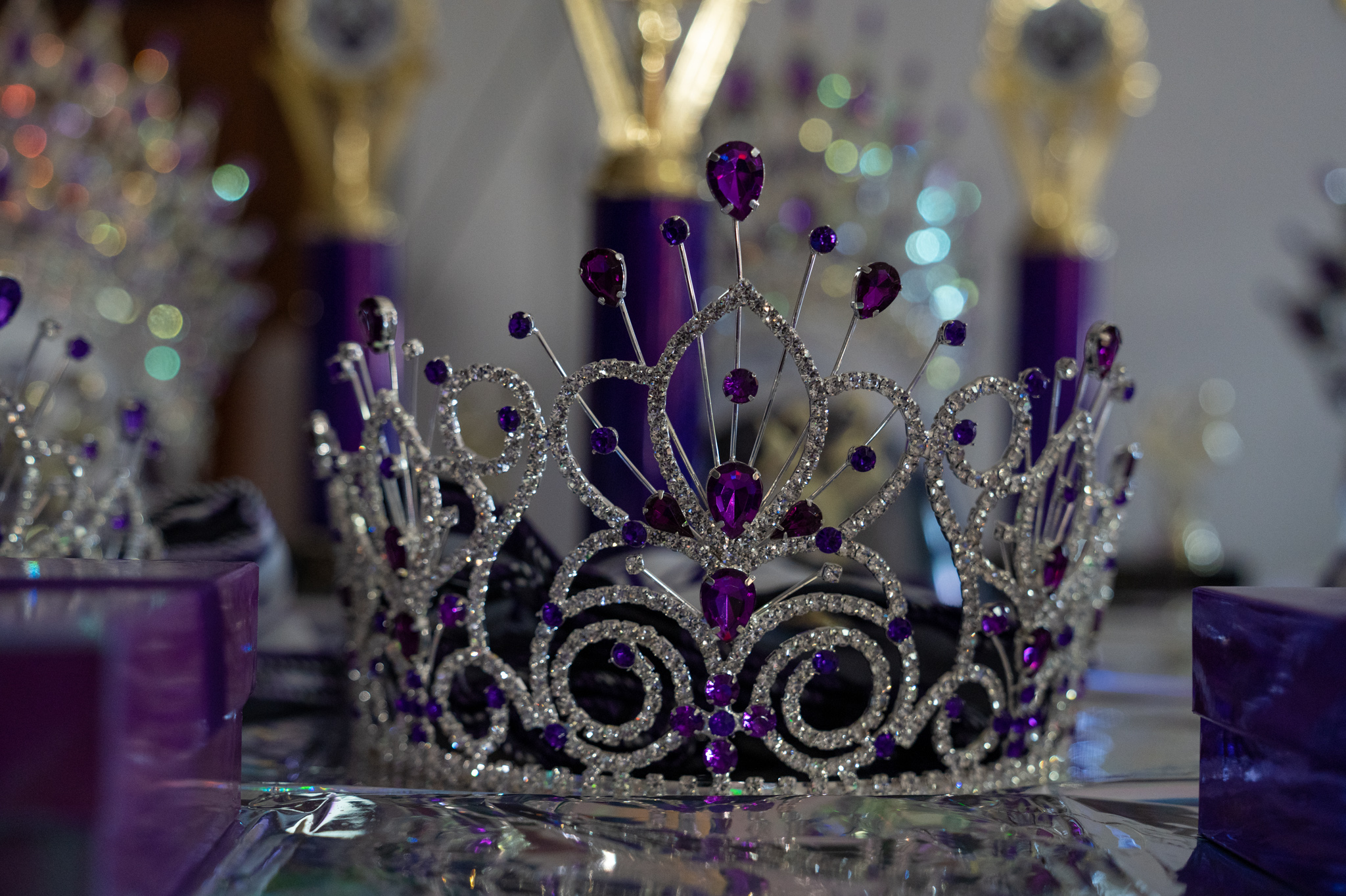 Purple Pageant Inc. community moment 21