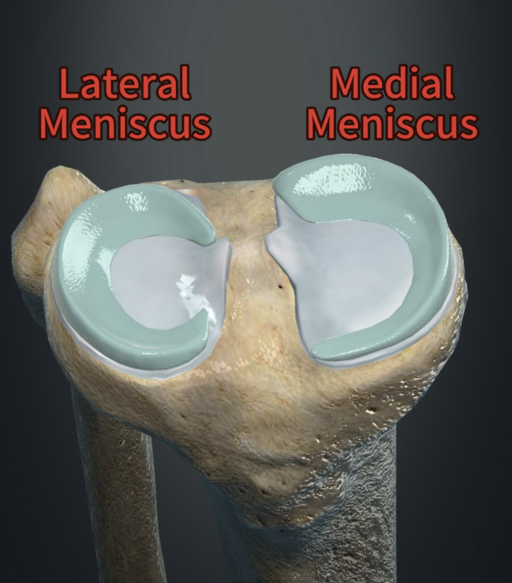 Meniscus injuries
