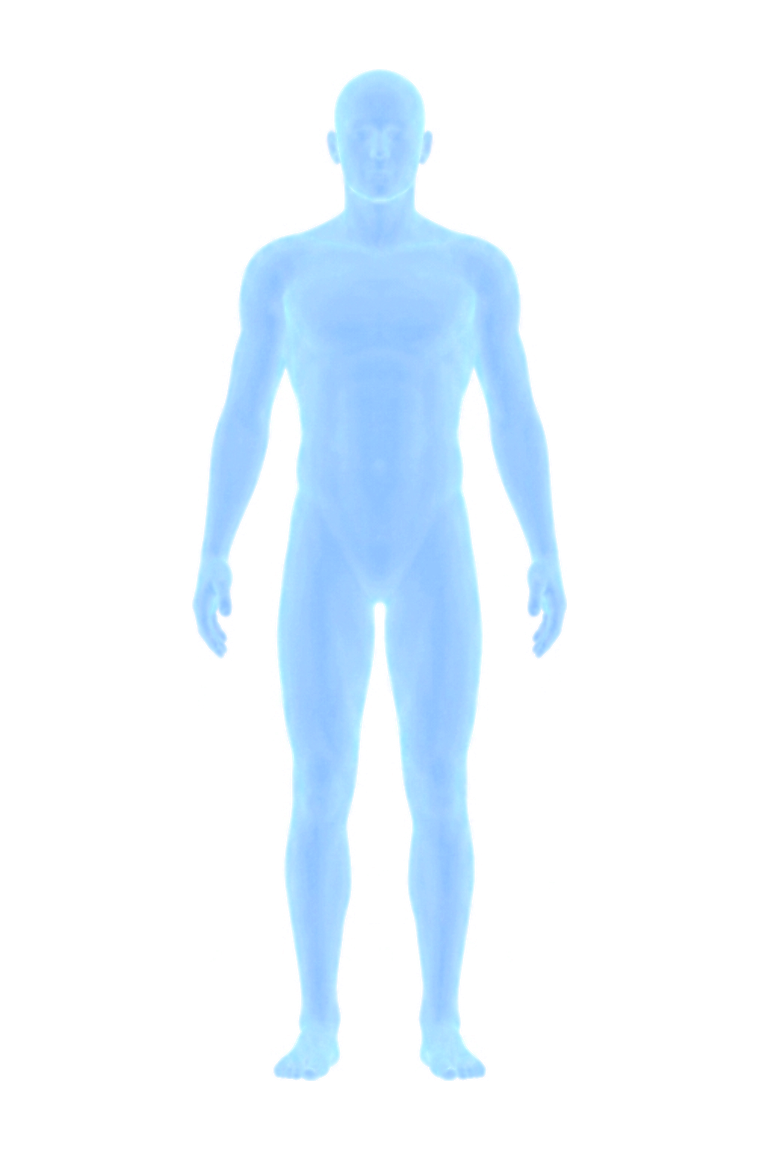 Interactive 3D anatomy at 0 degrees