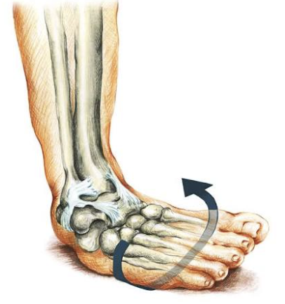 Ankle sprains