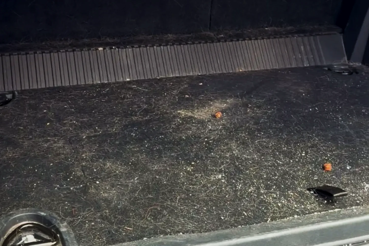 Car trunk with heavy pet hair buildup before cleaning by Bubbles Mobile Detailing in West Bridgewater MA