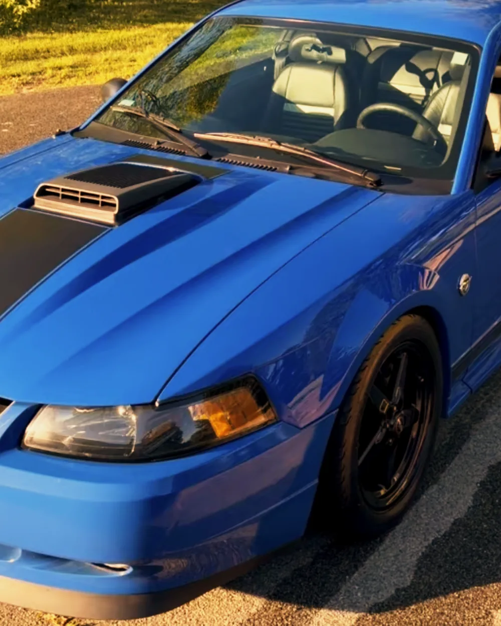 Blue Ford Mustang after paint correction showing smooth deep gloss finish in West Bridgewater MA