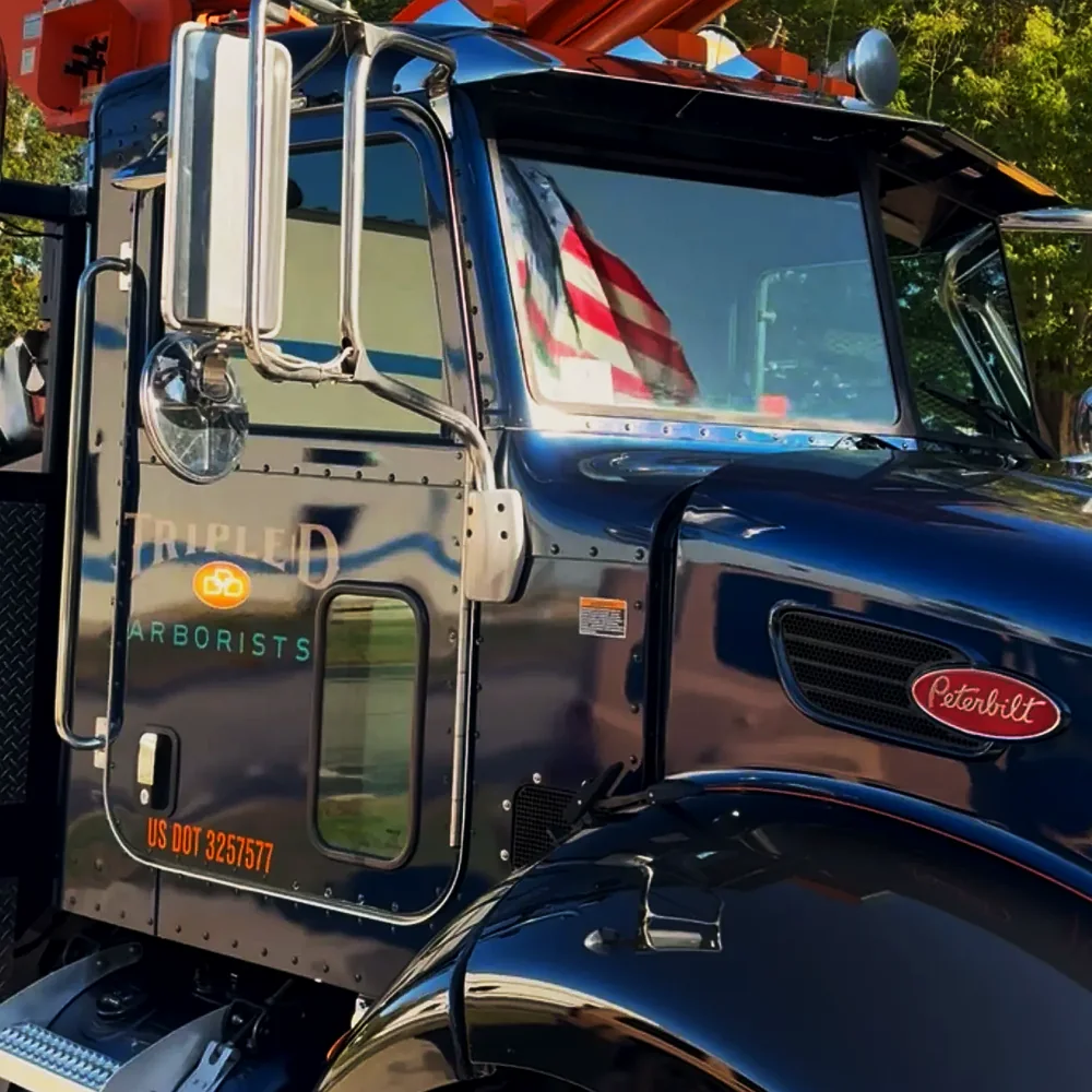 Glossy black Peterbilt semi truck after fleet detailing by Bubbles Mobile Detailing in West Bridgewater MA