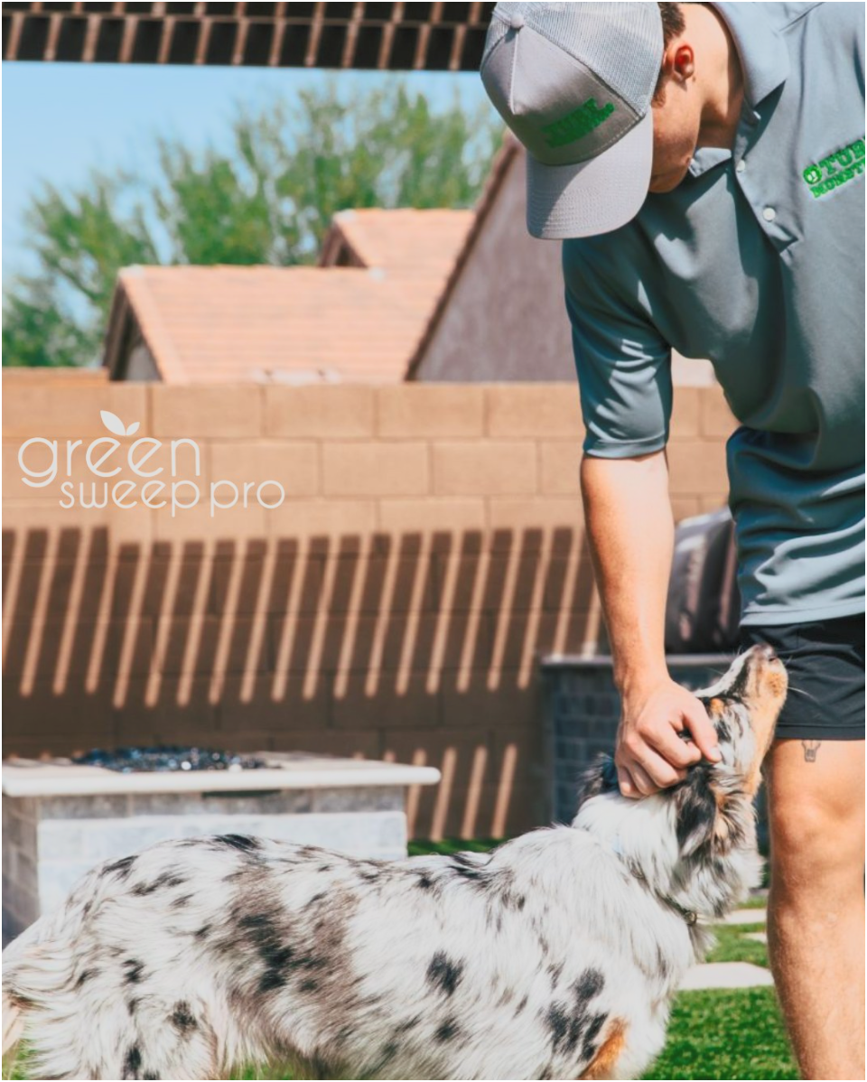 GreenSweep Pro Instagram post