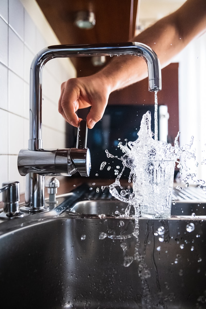 Reverse Osmosis vs. Standard Filtration: Which Do You Need?