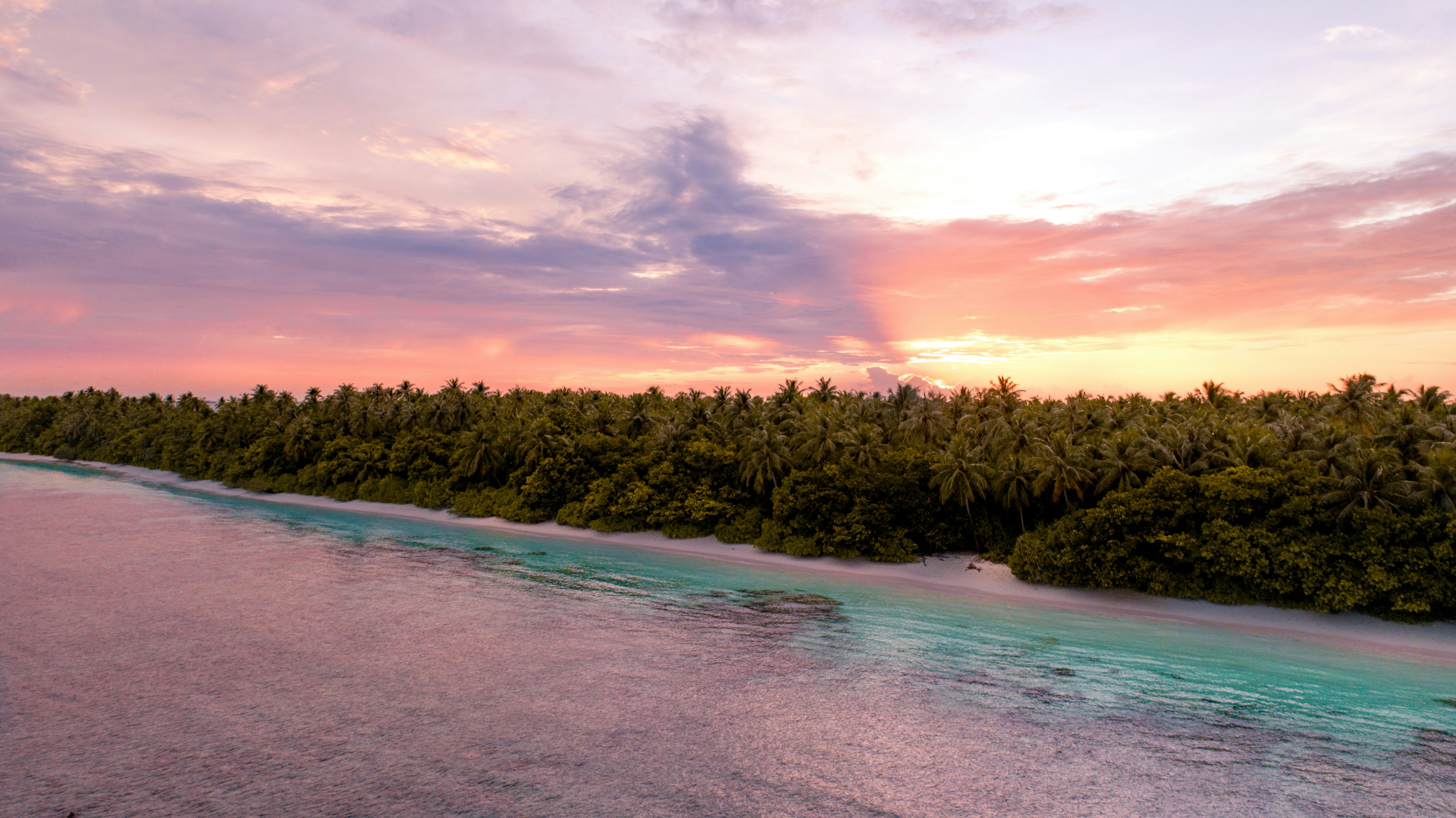 Hawaiian beach at sunset with palm trees