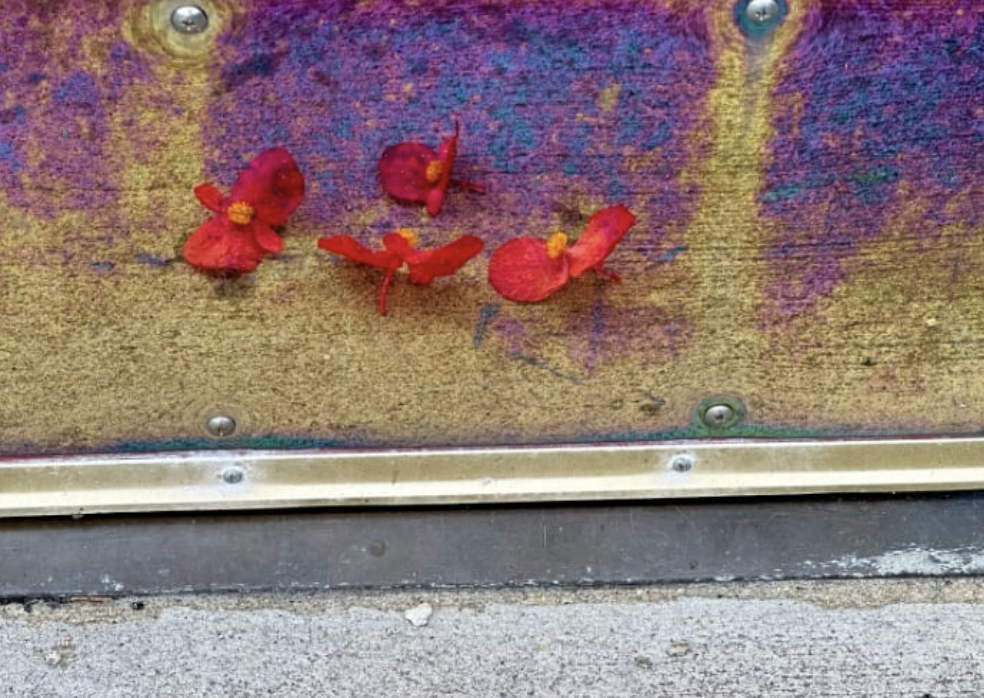 Newburyport Art Presents Fleeting Moments