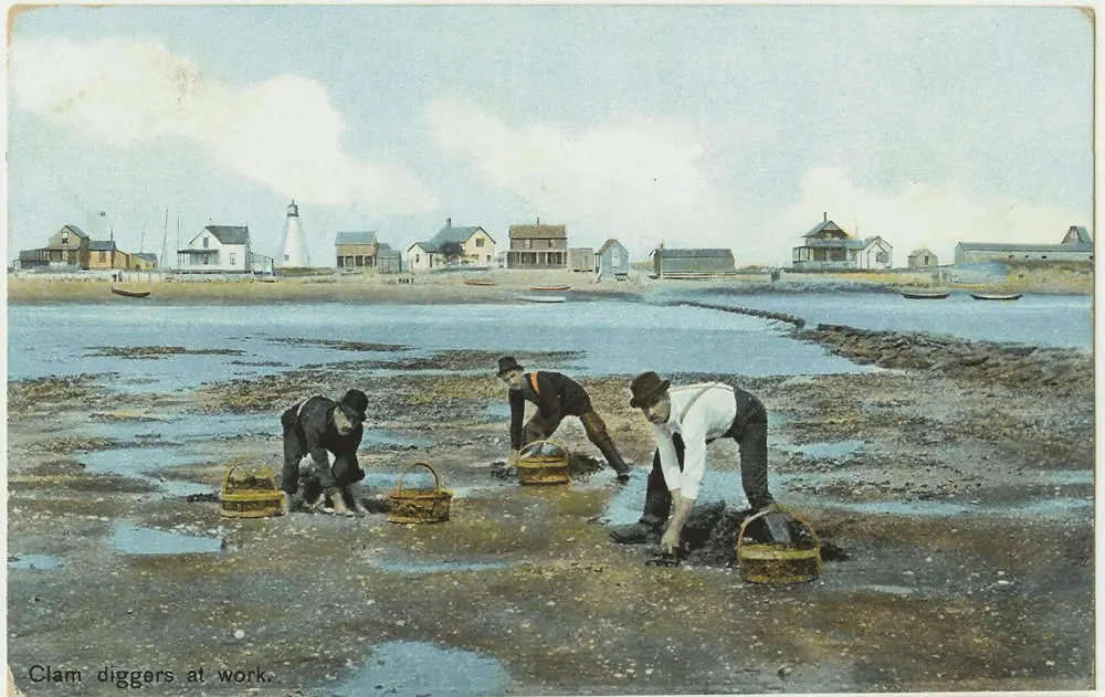 The Mystery of Plum Island’s Unofficial Anthem