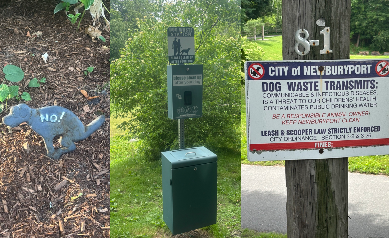 Why Our City Needs More Drinking Fountains and Poop Stations For Dogs