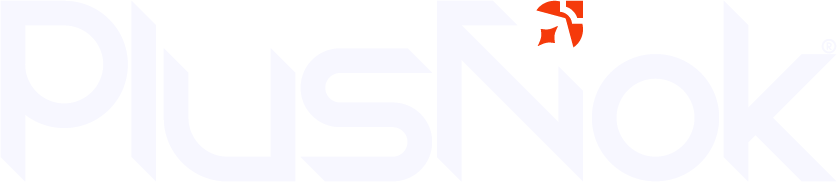 PlusNok — Logo Oficial Horizontal
