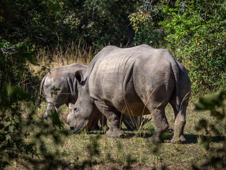 14 Tage Uganda Tour