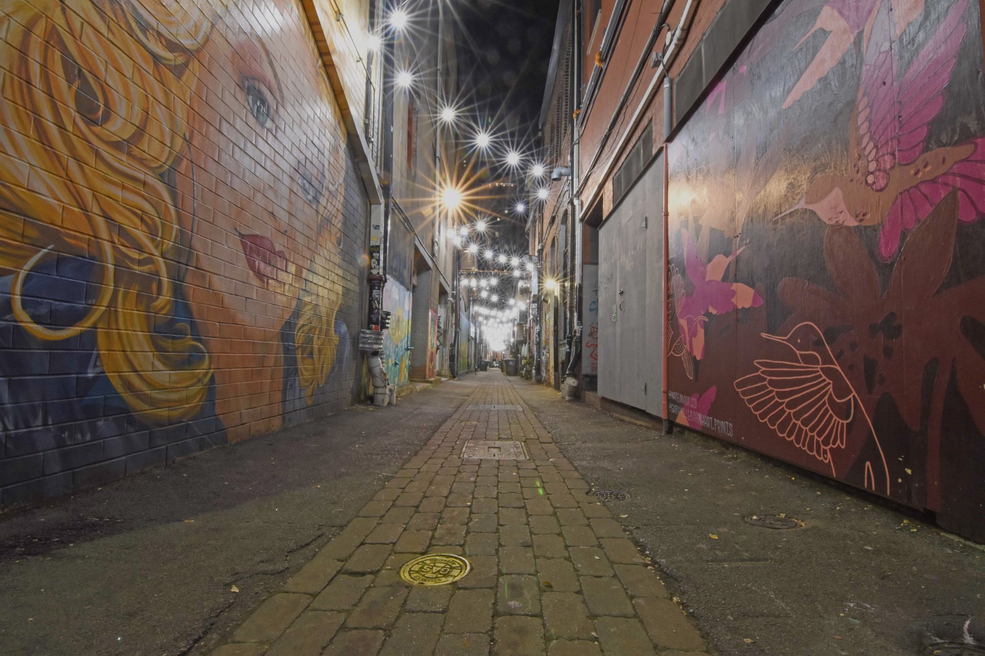 Downtown Knoxville alley with murals and overhead string lights