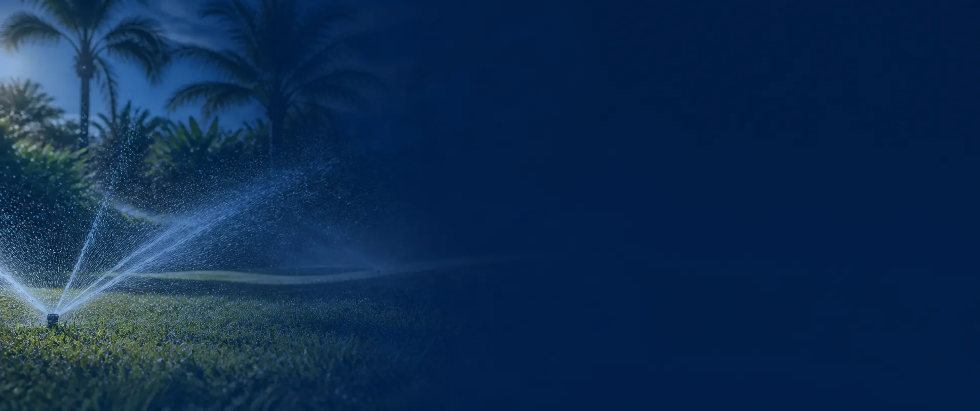Tampa Bay sprinkler system spraying water on a lush green lawn at dusk