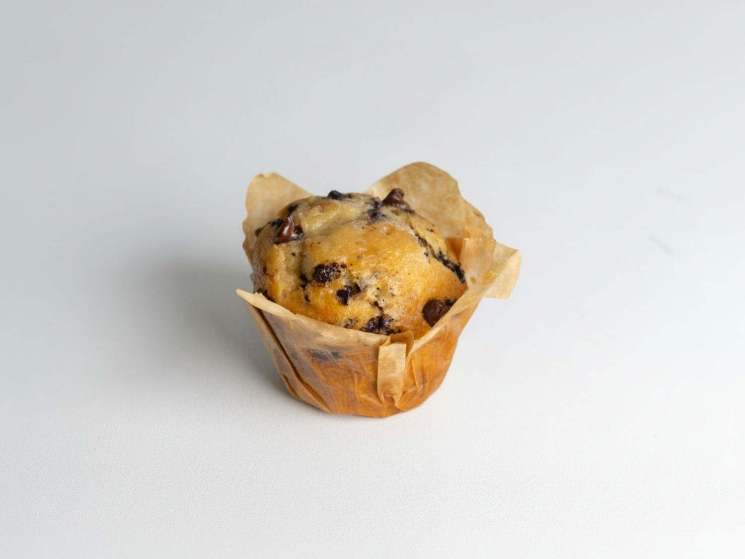 Chocolate Chip Muffin