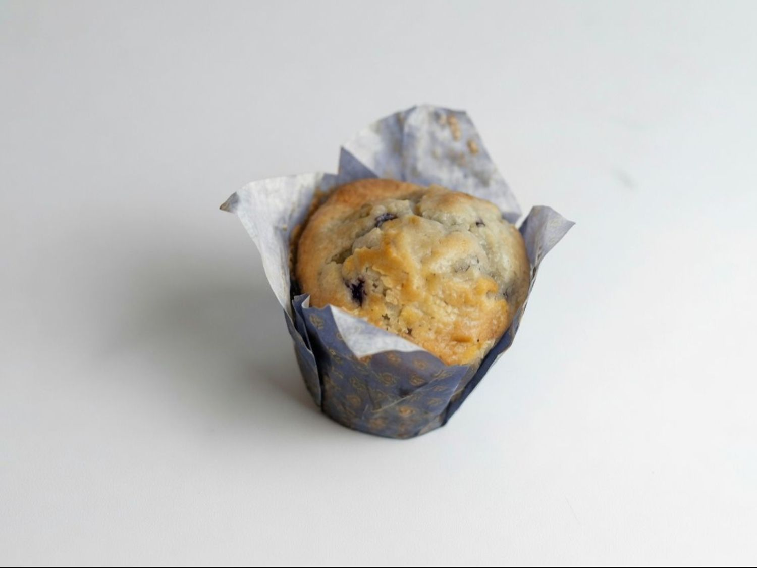 Blueberry Muffin