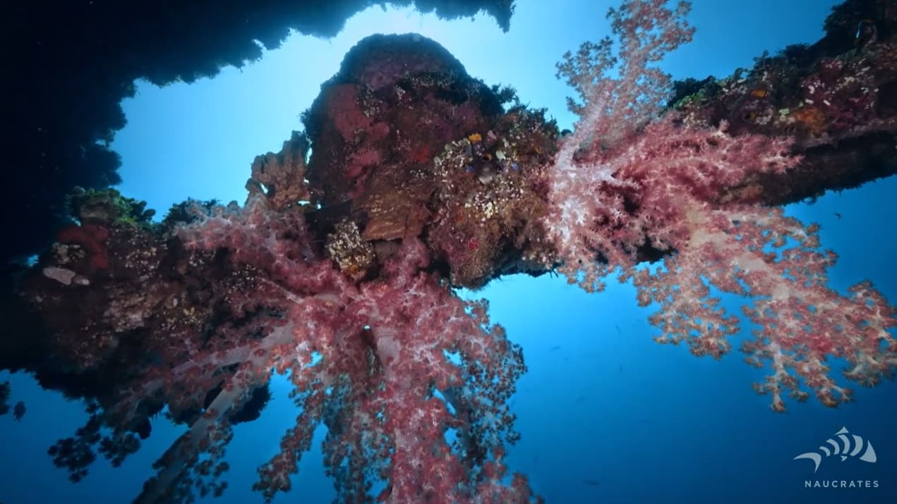 USAT Liberty Wreck