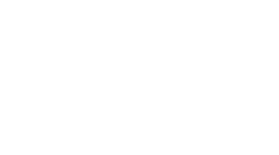 Lending Partner