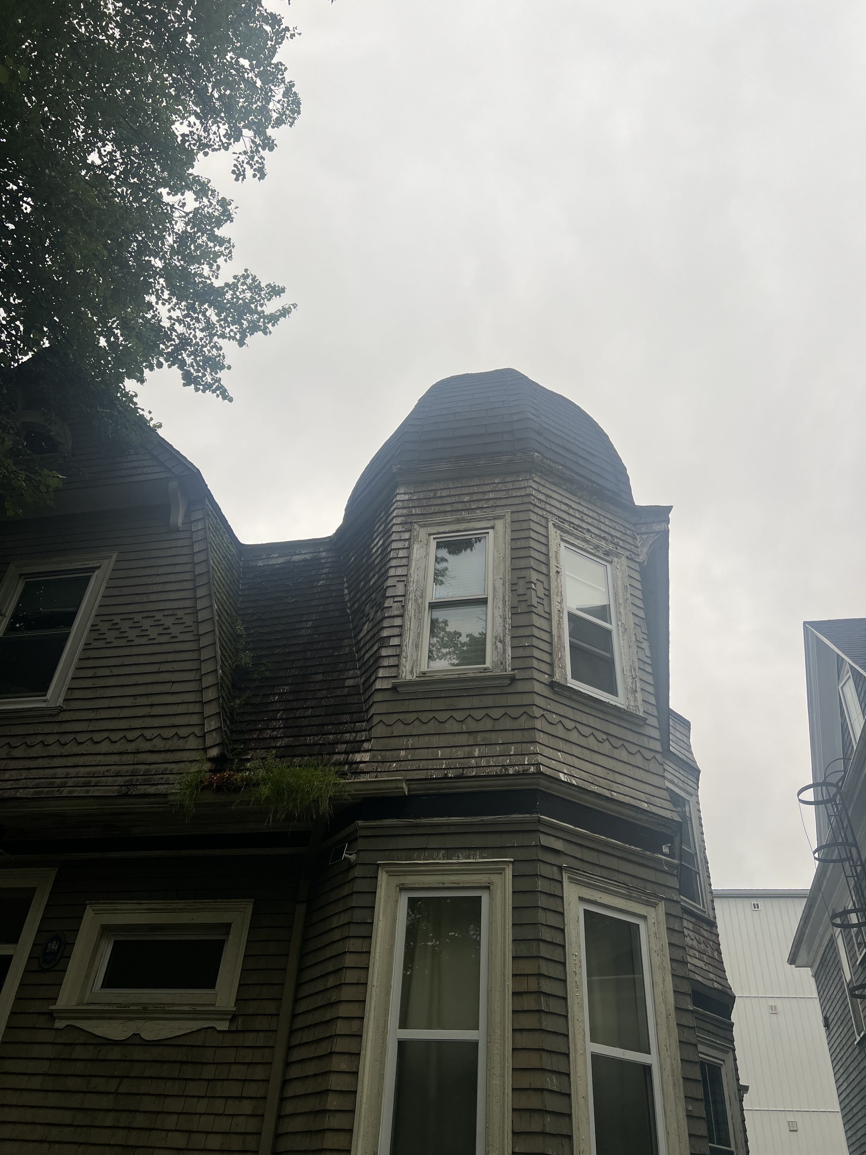 Exterior Siding & Roof Washing