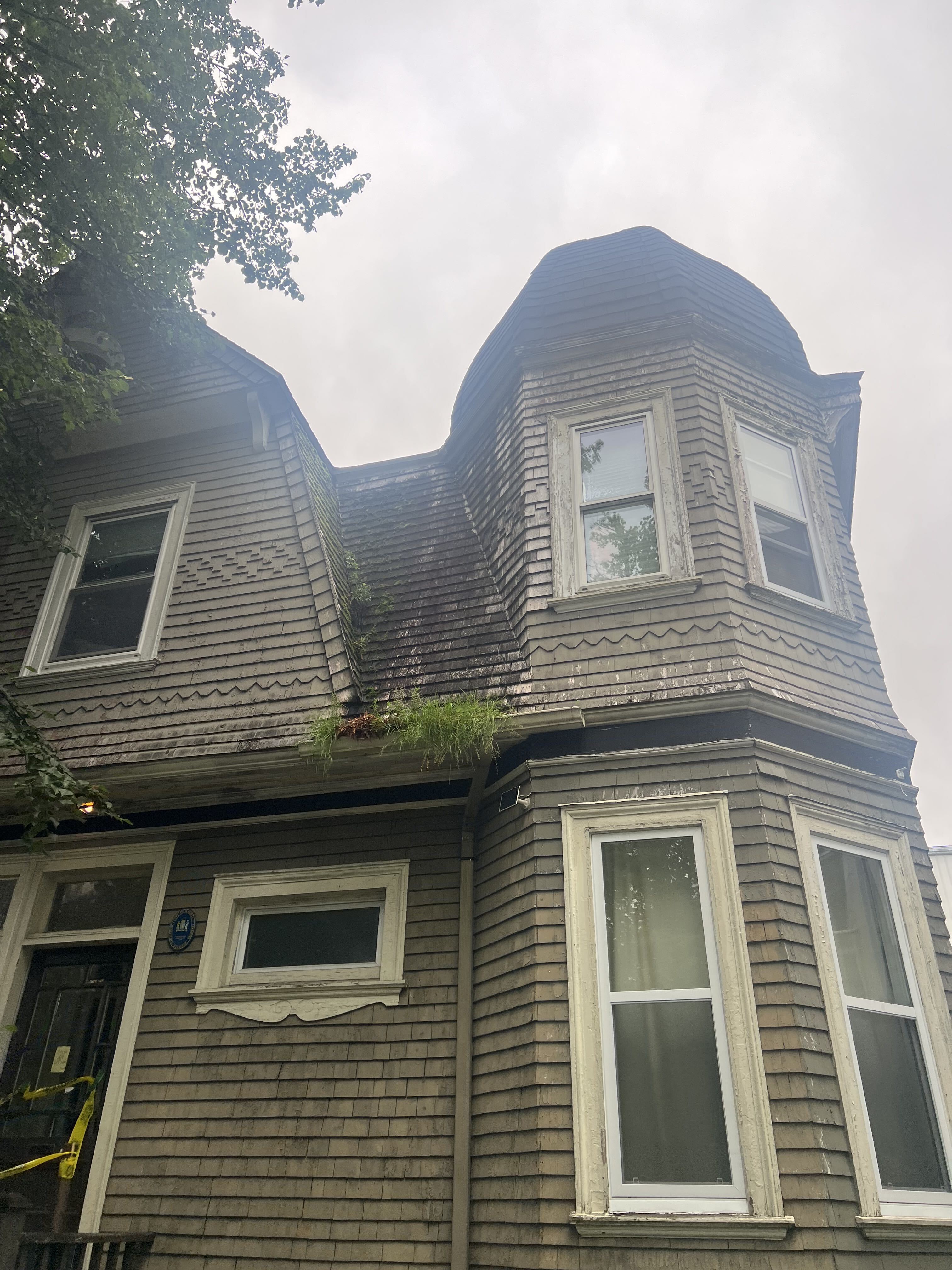 Roof and Gutter Moss Removal