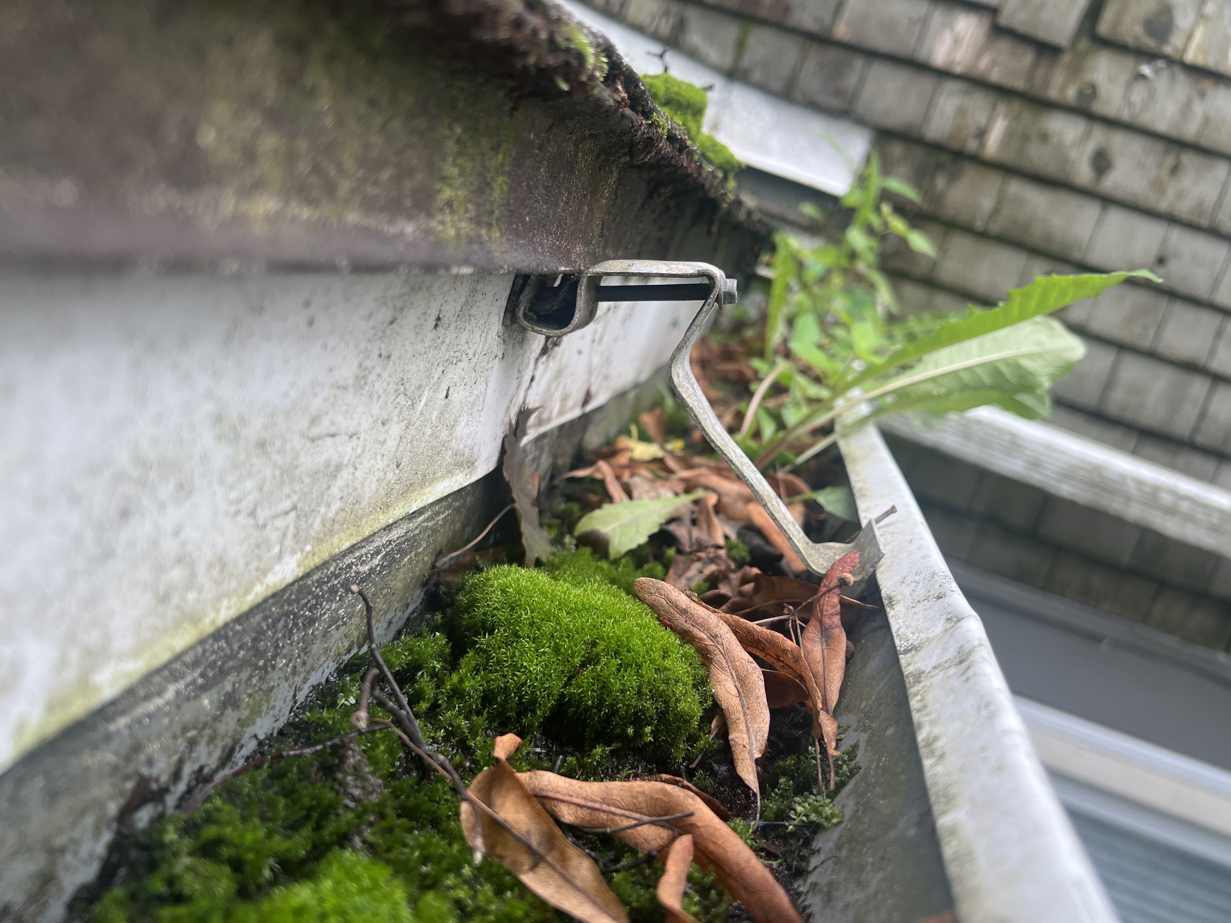 Severe Gutter Moss and Foliage Buildup