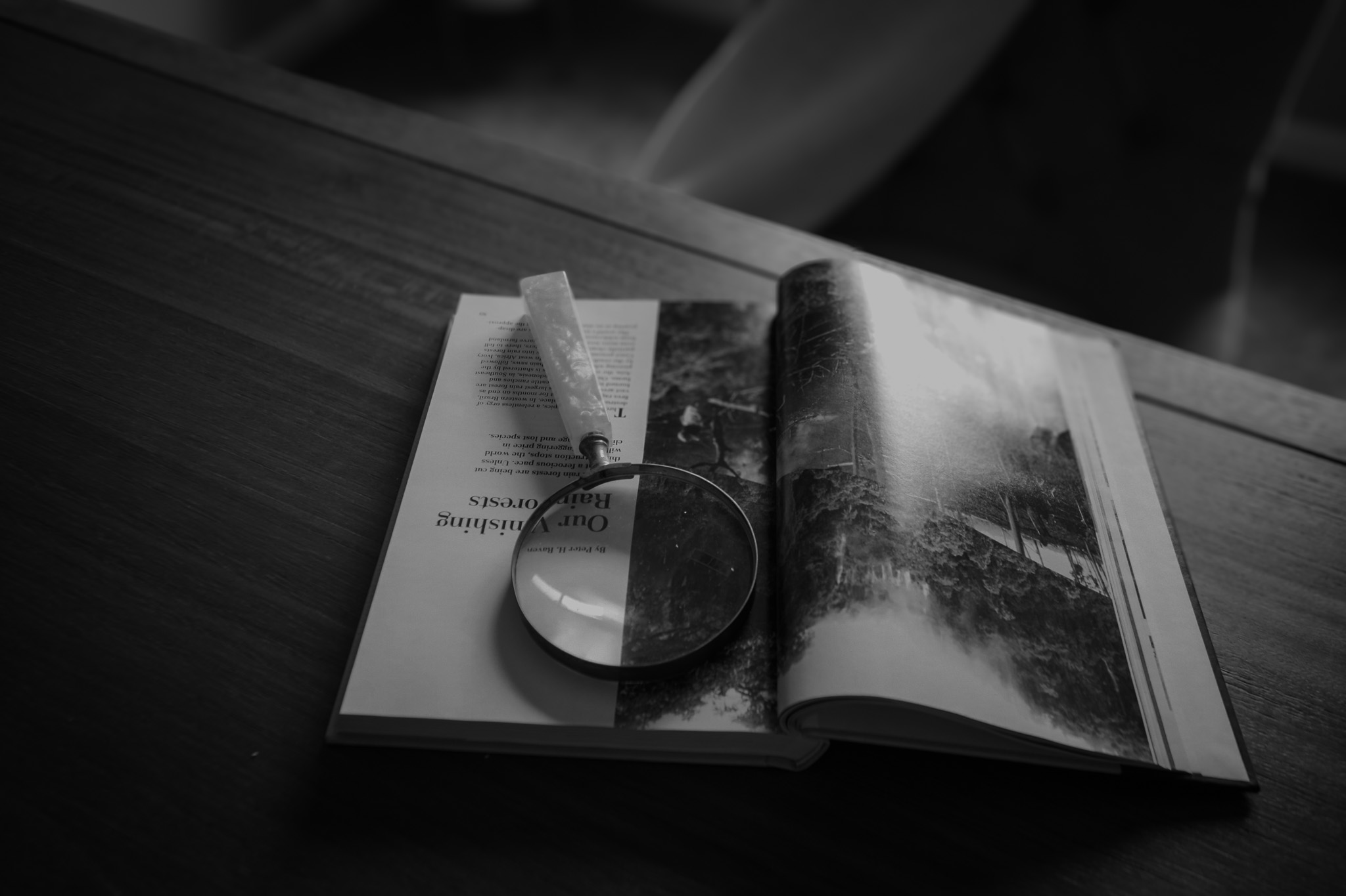 Editorial book and magnifying glass detail