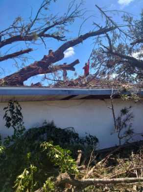 Post-Storm Cleanup — Debris Removal