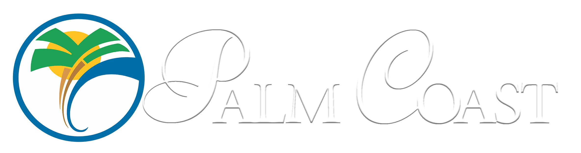 Palm Coast Florida pool leak detection service area
